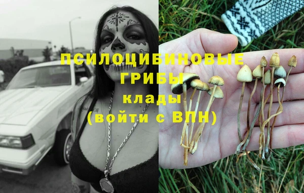 каннабис Аркадак