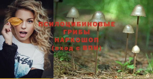 каннабис Аркадак