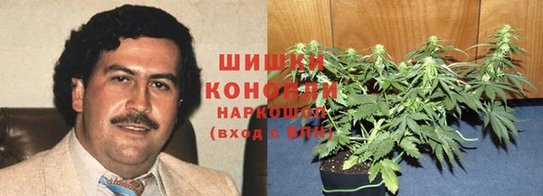 каннабис Аркадак