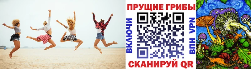 Псилоцибиновые грибы Psilocybine cubensis  купить наркотик  Гурьевск 
