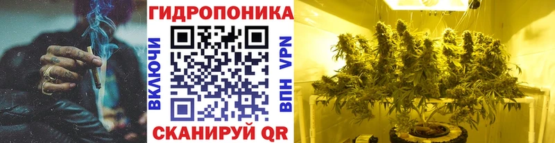 купить   Гурьевск  Канабис VHQ 